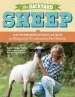 Audiobook The Backyard Sheep author Sue Weaver