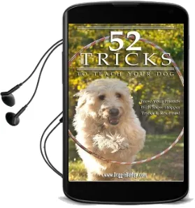 52 Tricks to Teach Your dog Audiobook download free by Doggiebuddy