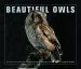 Audiobook Beautiful Owls: Portraits of Arresting Species From Around the World author Andrew Perris