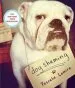 Audiobook Dog Shaming author Pascale Lemire