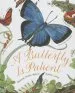 Audiobook A Butterfly is Patient author Dianna Hutts Aston