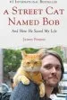 Audiobook A Street cat Named bob author James Bowen