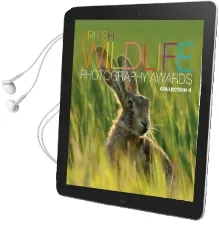 British Wildlife Photography Awards: Collection 4 Audiobook download free by Aa Publishing