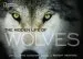Audiobook The Hidden Life of Wolves author Jim Dutcher