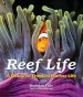 Audiobook Reef Life: A Guide to Tropical Marine Life author Brandon Cole