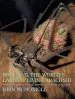 Audiobook Breeding the World'S Largest Living Arachnid: Amblypygid (Whipspider) Biology, Natural History, and Captive Husbandry author Orin Mcmonigle