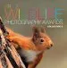 Audiobook British Wildlife Photography Awards: Collection 3 author Aa Publishing