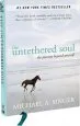 Audiobook The Untethered Soul: The Journey Beyond Yourself author Michael A. Singer