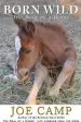 Audiobook Born Wild - the Soul of a Horse author Joe Camp