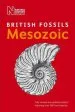 Audiobook British Mesozoic Fossils author Natural History Museum