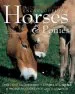 Audiobook The Complete Illustrated Encyclopedia of Horses & Ponies author Catherine Austen