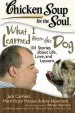 Audiobook Chicken Soup for the Soul: What i Learned From the dog: 101 Stories About Life, Love, and Lessons author Jack Canfield