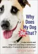 Audiobook Why Does my dog do That?: Understand and Improve Your Dog'S Behaviour and Build a Friendship Based on Trust author Caroline Spencer