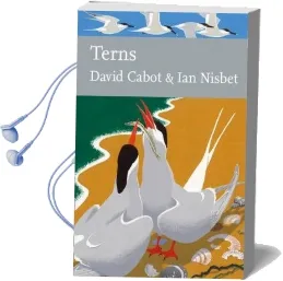 Terns Audiobook download free by David Cabot