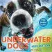Audiobook Underwater Dogs (Kids Edition) author Seth Casteel