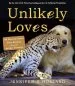 Audiobook Unlikely Loves: 43 Heartwarming True Stories From the Animal Kingdom author Jennifer Holland