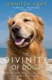 Audiobook The Divinity of Dogs: True Stories of Miracles Inspired by Man'S Best Friend author Jennifer Skiff