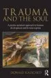Audiobook Trauma and the Soul: A Psycho-Spiritual Approach to Human Development and its Interruption author Donald Kalsched