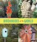 Audiobook Birdhouses of the World author Anne Schmauss