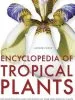 Audiobook Encyclopedia of Tropical Plants: The Identification and Cultivation of Over 3000 Tropical Plants author Ahmed Fayaz