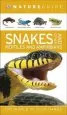 Audiobook Nature Guide Snakes and Other Reptiles and Amphibians: The World in Your Hands author Dk