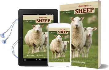 Sheep: Small Scale Sheep Keeping Audiobook download free by Sue Weaver