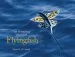 Audiobook The Amazing World of Flyingfish author Steve N. G. Howell