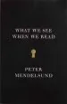 Audiobook What we see When we Read author Peter Mendelsund