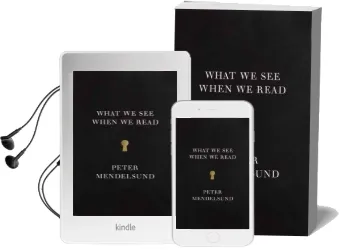 What we see When we Read Audiobook download free by Peter Mendelsund