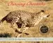 Audiobook Chasing Cheetahs: The Race to Save Africa'S Fastest Cats author Sy Montgomery