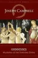 Audiobook Goddesses: Mysteries of the Feminine Divine author Joseph Campbell