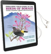 Phillipps' Field Guide to the Birds of Borneo Audiobook download free by Quentin Phillipps