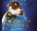 Audiobook Underwater Puppies author Seth Casteel
