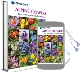 Alpine Flowers: A Pocket Field Guide to 230 of the Most Commonly Found Alpine Species Audiobook download free by Gillian Price