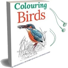 Colouring Birds Audiobook download free by Peter Gray