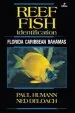 Audiobook Reef Fish Identification: Florida Caribbean Bahamas author Paul Humann