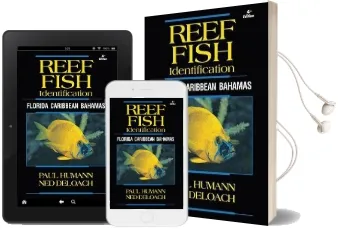 Reef Fish Identification: Florida Caribbean Bahamas Audiobook download free by Paul Humann