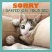 Audiobook Sorry i Barfed on Your bed (And Other Heartwarming Letters From Kitty) author Jeremy Greenberg