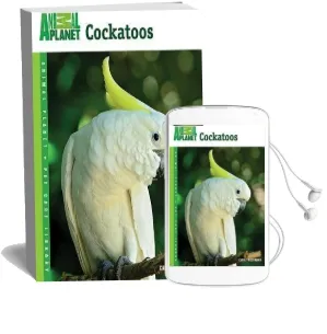 Cockatoos Audiobook download free by Carol Frischmann