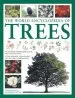 Audiobook World Encyclopedia of Trees author Tony Russell