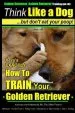 Audiobook Golden Retriever, Golden Retriever Training aaa akc Think Like a Dog, but Don': Here'S Exactly how to Train Your Golden Retriever author Mr Paul Allen Pearce