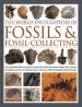 Audiobook World Encyclopedia of Fossils & Fossil-Collecting author Steve Parker