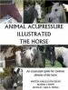 Audiobook Animal Acupressure Illustrated the Horse author Deanna S Smith