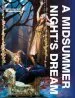 Audiobook Cambridge School Shakespeare: A Midsummer Night'S Dream author Rex Gibson