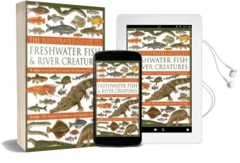 Illustrated Guide to Freshwater Fish & River Creatures Audiobook download free by Daniel Gilpin