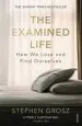 Audiobook The Examined Life: How we Lose and Find Ourselves author Stephen Grosz