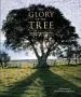 Audiobook Glory of the Tree: An Illustrated History author Noel Kingsbury