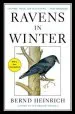 Audiobook Ravens in Winter author Bernd Heinrich