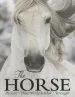 Audiobook The Horse: Passion, Beauty, Splendor, Strength author Elain Walker