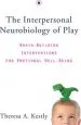 Audiobook The Interpersonal Neurobiology of Play: Brain-Building Interventions for Emotional Well-Being author Theresa A. Kestly